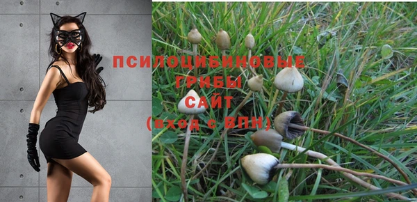 не бодяженный Слюдянка