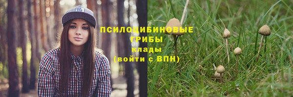 спиды Аркадак